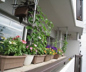 NOKKO情報
