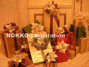 NOKKO情報